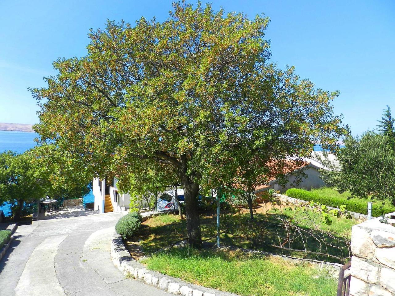 Apartment Renata By Interhome Barić Draga エクステリア 写真